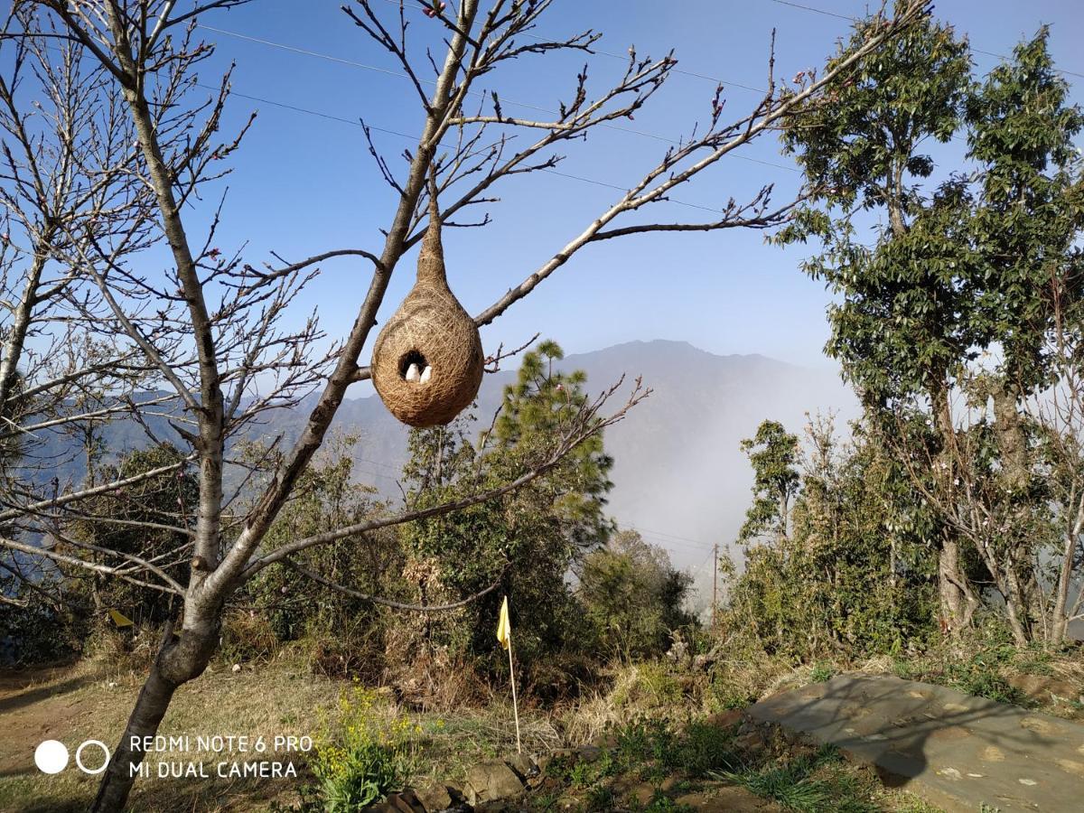 In Apple Estate Kanatal - Himalayan View Resort With Courteous Staff Exteriör bild