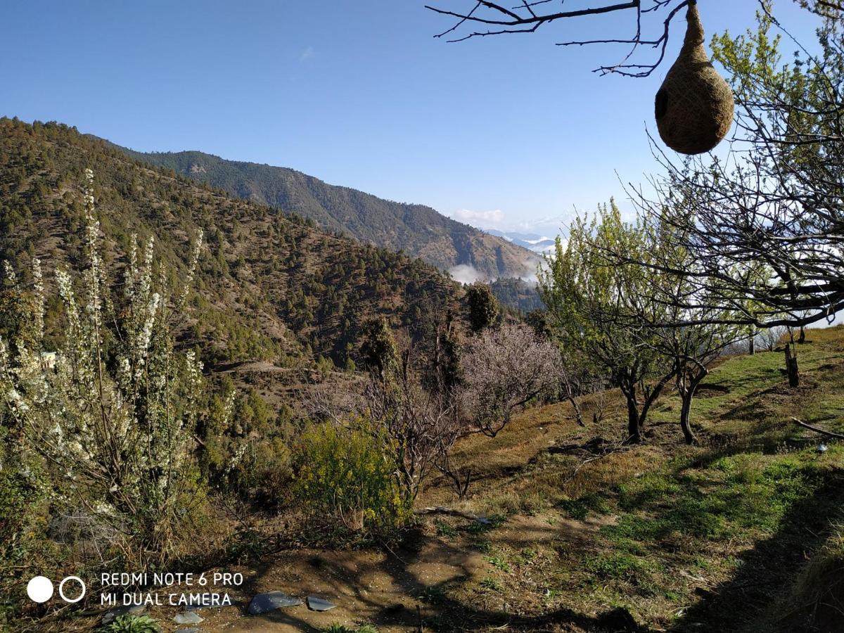 In Apple Estate Kanatal - Himalayan View Resort With Courteous Staff Exteriör bild