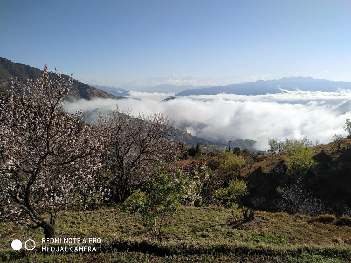 In Apple Estate Kanatal - Himalayan View Resort With Courteous Staff Exteriör bild