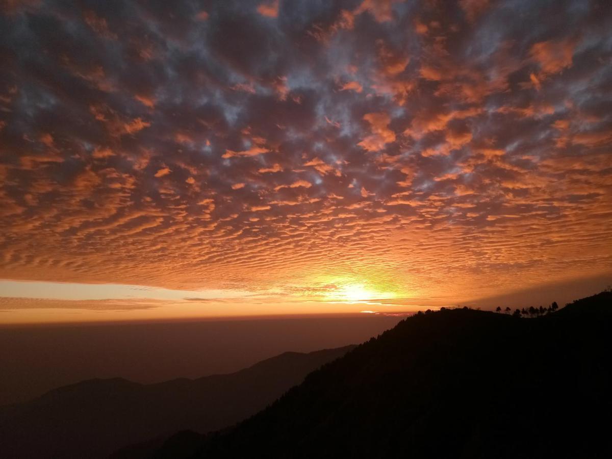 In Apple Estate Kanatal - Himalayan View Resort With Courteous Staff Exteriör bild