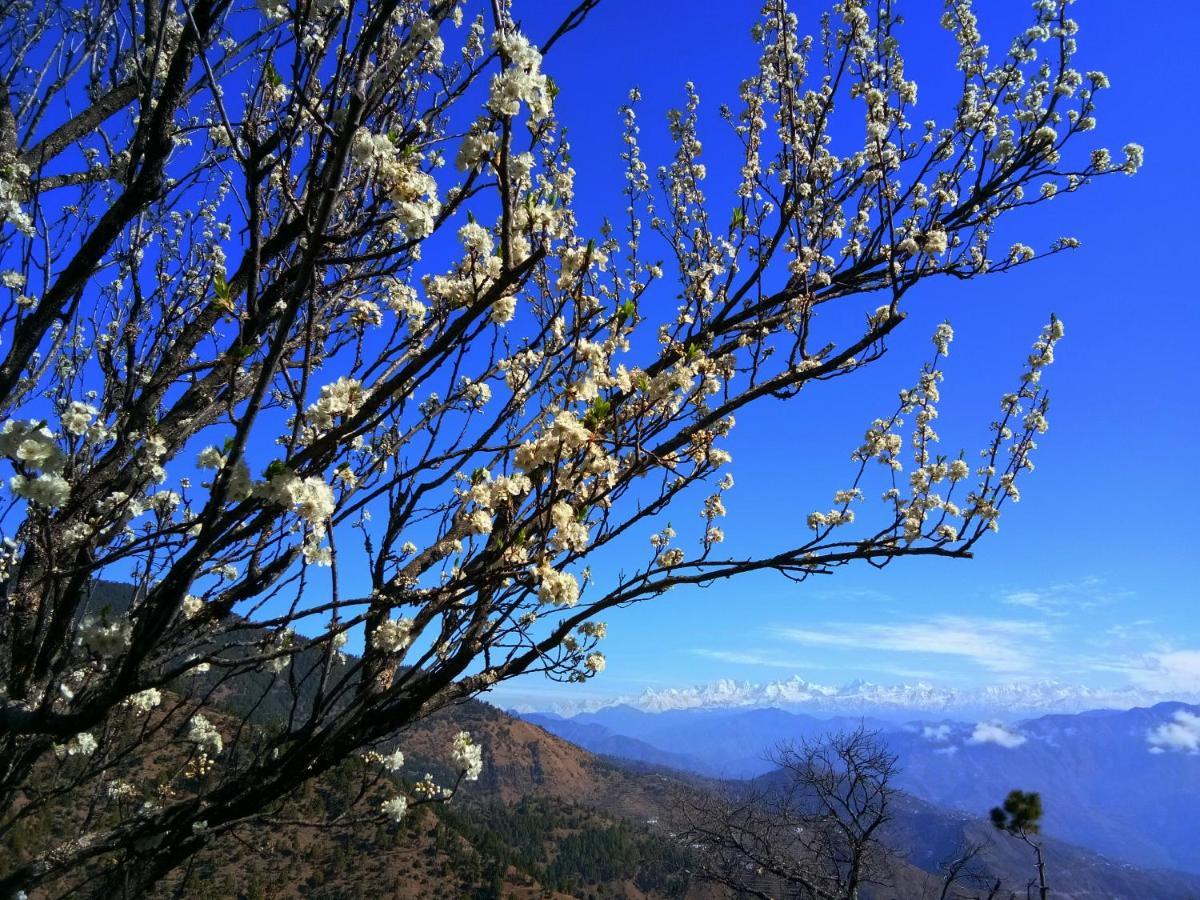 In Apple Estate Kanatal - Himalayan View Resort With Courteous Staff Exteriör bild