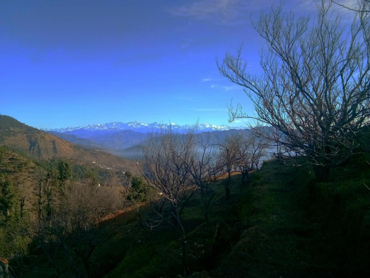 In Apple Estate Kanatal - Himalayan View Resort With Courteous Staff Exteriör bild